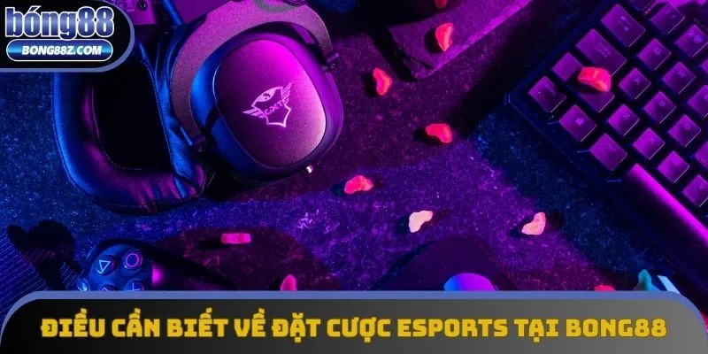 Những điều cần biết về đặt cược Esports tại Bong88 Những điều cần biết về đặt cược Esports tại Bong88