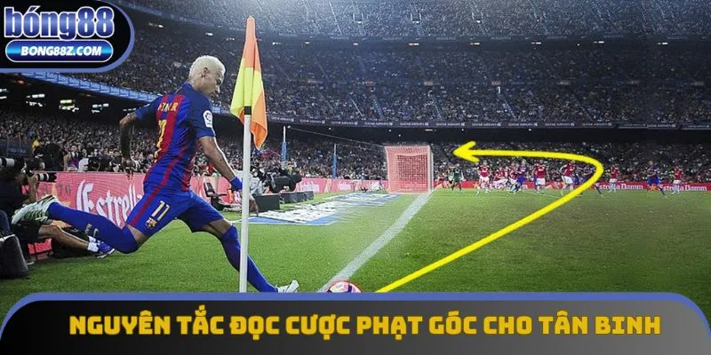 Nguyên tắc đọc cược phạt góc cho tân binh Nguyên tắc đọc cược phạt góc cho tân binh