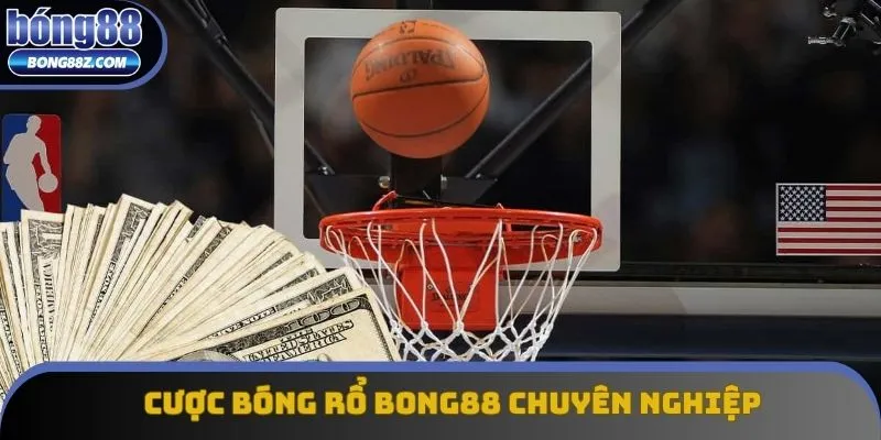 Sân cược bóng rổ online chuyên nghiệp Sân cược bóng rổ online chuyên nghiệp