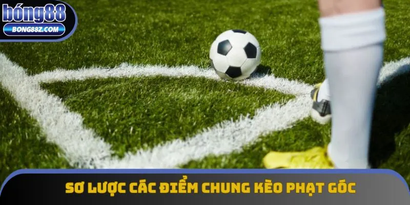 Sơ lược các điểm chung được nhắc đến trong kèo phạt góc Sơ lược các điểm chung được nhắc đến trong kèo phạt góc